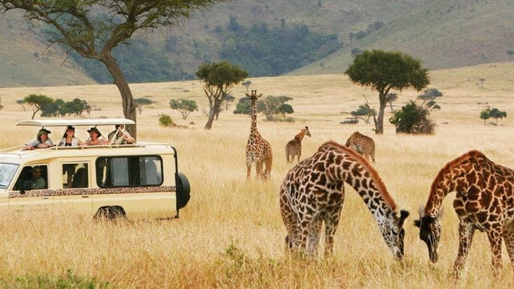 Custom 4x4 Safari Cruisers